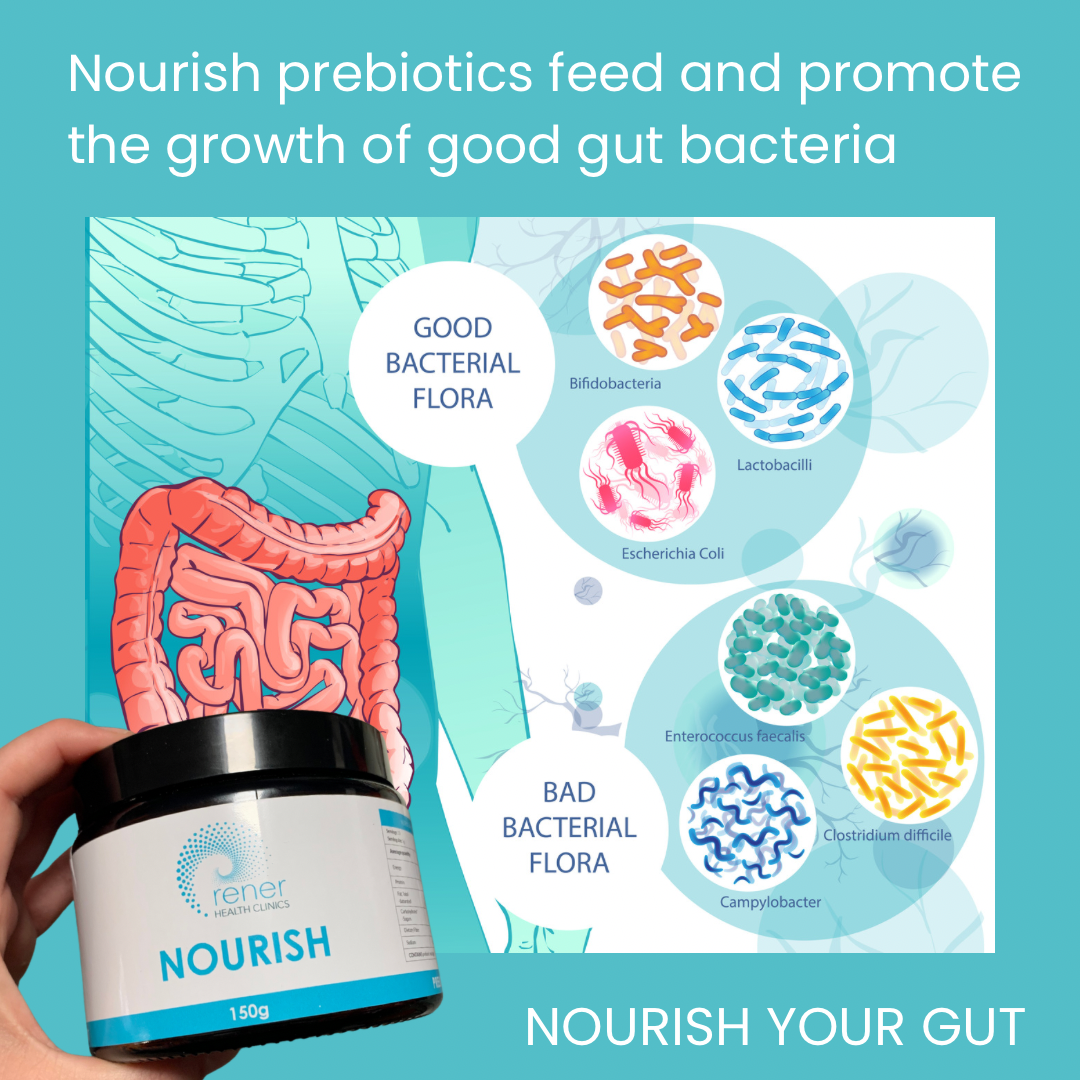 Nourish prebiotic ingredients feed and promote the growth of good gut bacteria.