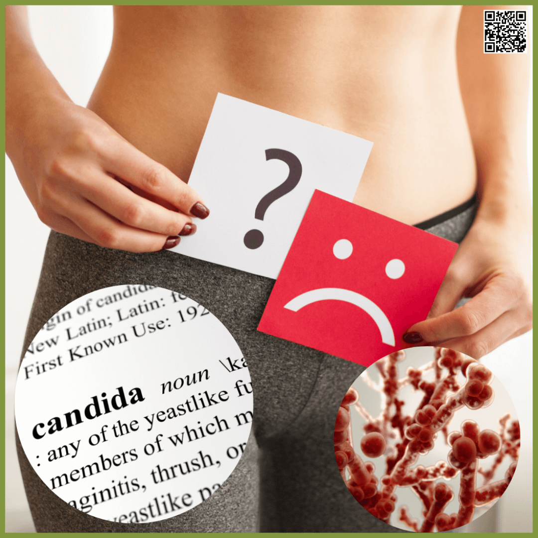 Cranberries are used to alleviate symptoms of Candida albicans (thrush)